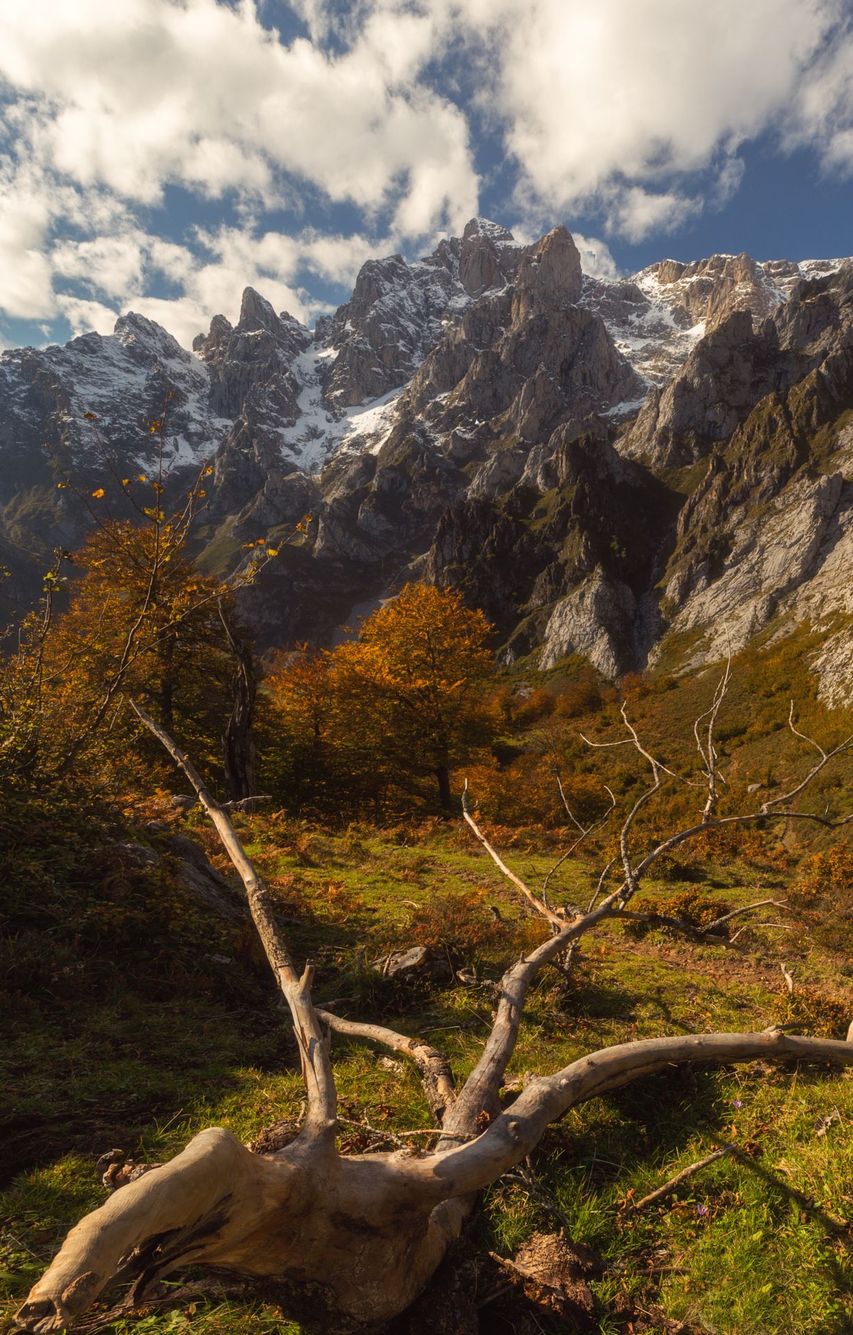 Paisaje de montaña del Puerto de Edes con los picos nevados en Picos de Europa - fotopicos.com