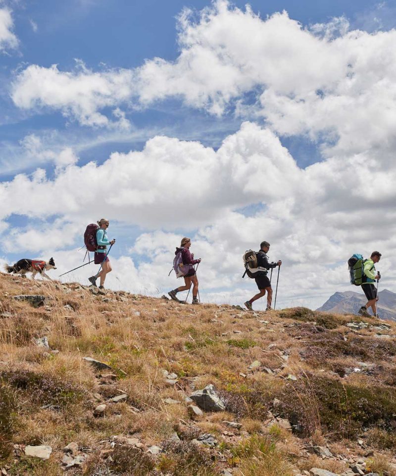 Cuatro personas y un perro bajando por una pendiente de una montaña en Picos de Europa - fotopicos.com