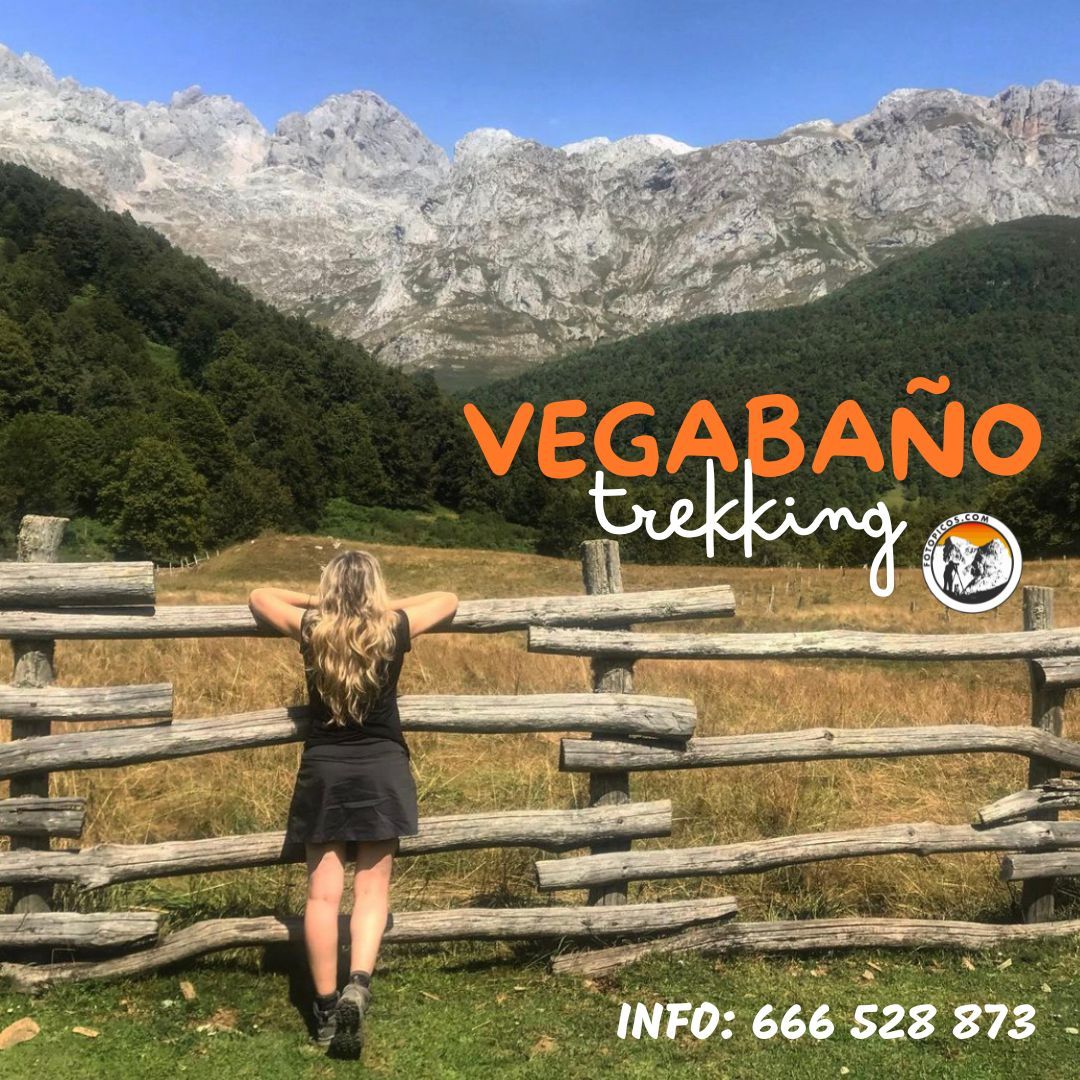 Vegabaño
